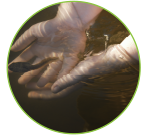 1809_07_cleanh20