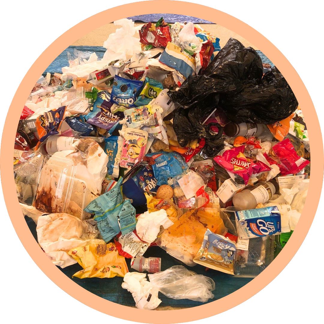 School Waste Audit