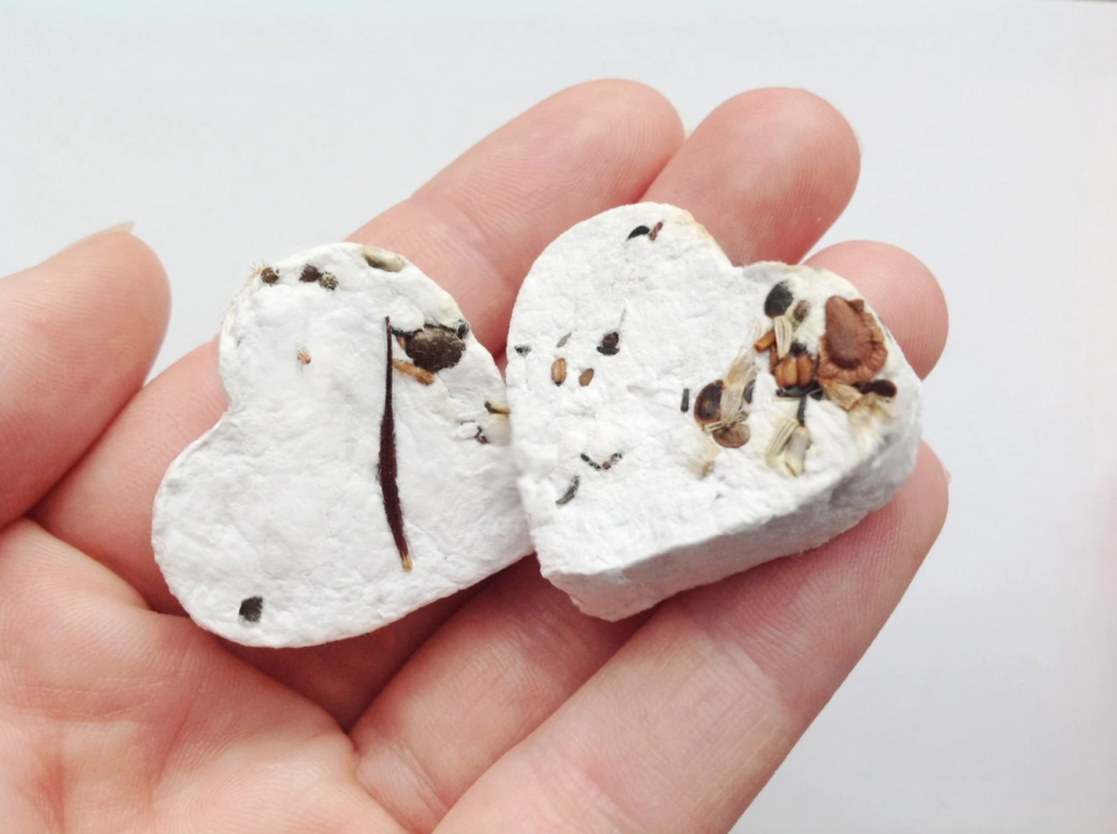 Spring flower seed bombs - Keep Australia Beautiful NSW