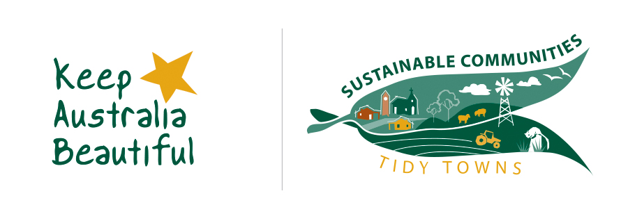 TidyTowns